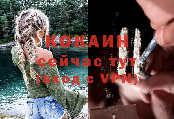 бошки Алзамай