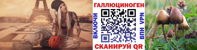 сайты даркнета клад  Кинель  Галлюциногенные грибы Psilocybine cubensis 