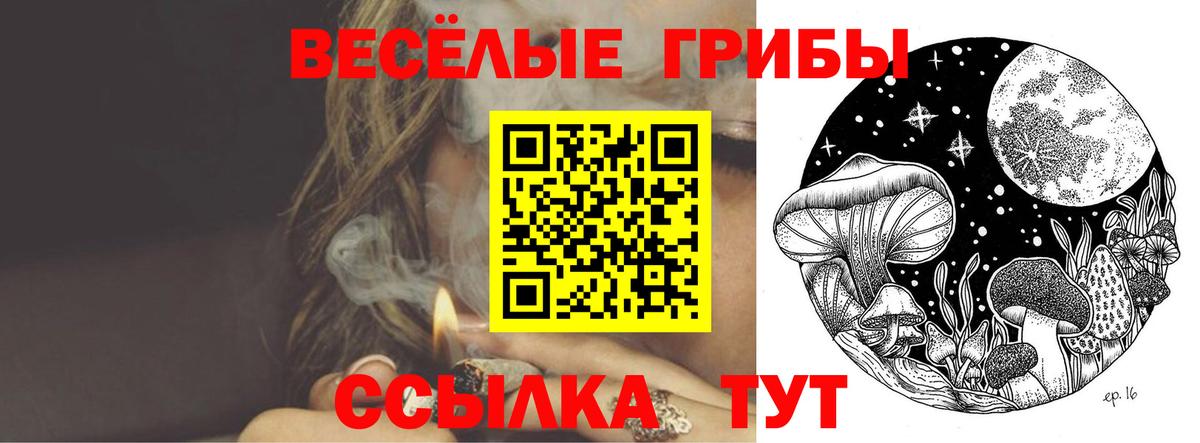 Псилоцибиновые грибы Magic Shrooms Кинель