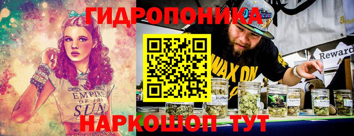 Канабис сатива  Вход с VPN  Каннабис индика  Кинель 