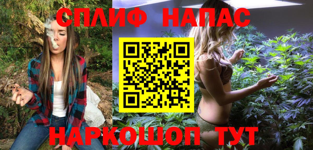 Бошки марихуана планчик Кинель